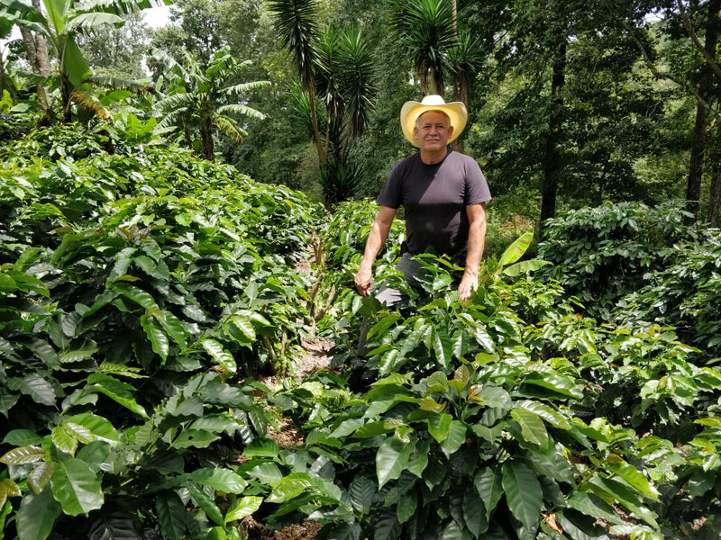 Meet Our Farmers - Pedro Fiallos