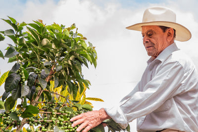 Meet Our Farmer – Abelardo Antonio Arias Velez